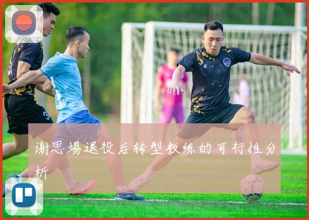 谢思埸退役后转型教练的可行性分析