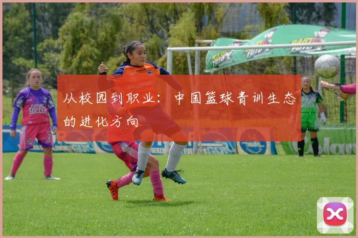 从校园到职业：中国篮球青训生态的进化方向