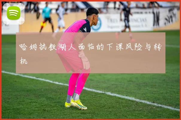 哈姆执教湖人面临的下课风险与转机