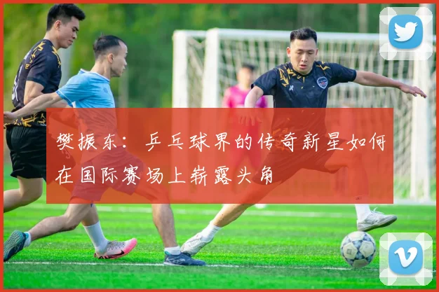 樊振东：乒乓球界的传奇新星如何在国际赛场上崭露头角