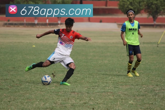 678体育平台生态图